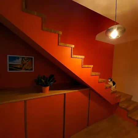 Apartman And Free Airport Transfer