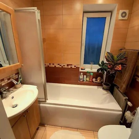 And Free Airport Transfer