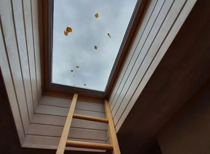 And Free Airport Transfer *