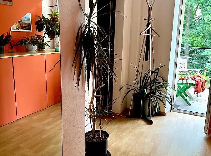 And Free Airport Transfer Riga