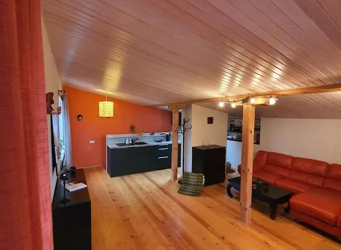 Apartment And Free Airport Transfer Riga