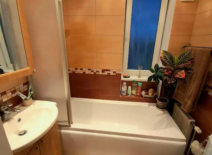 And Free Airport Transfer