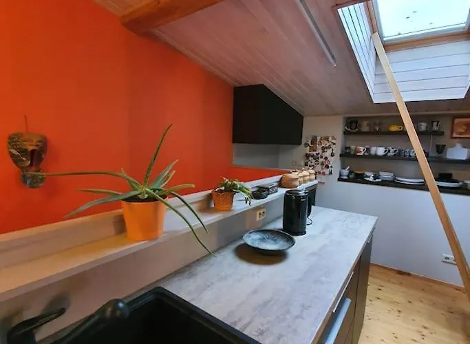 And Free Airport Transfer Apartment *