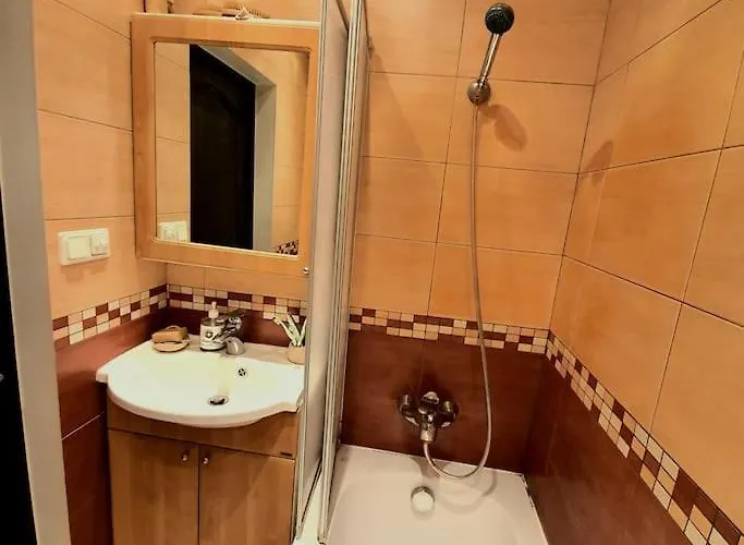 Apartment And Free Airport Transfer Riga