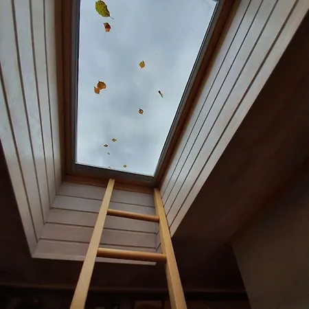 And Free Airport Transfer *